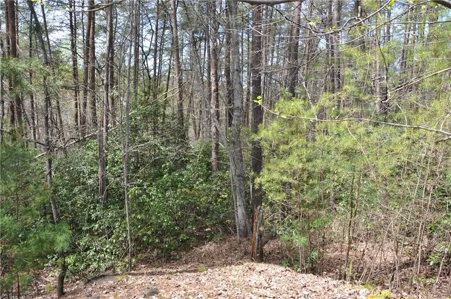 5533 Red Fox Court, Big Canoe, GA 30143 - #3