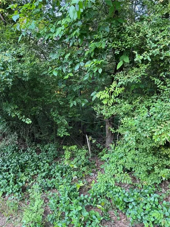 0 Wellington Way, Rome, GA 30161 - #2