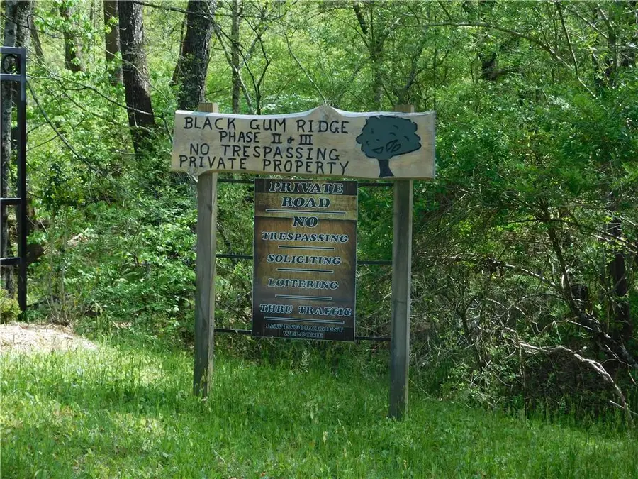 0 Dallas Lane, Blue Ridge, GA 30513 - #2