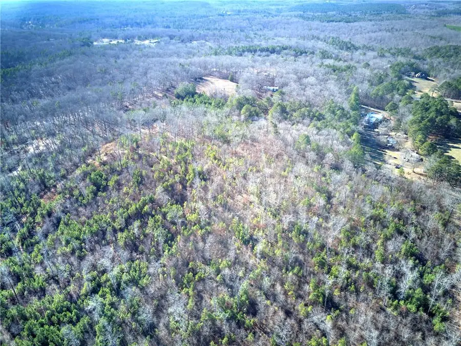 368 Pleasant Valley Road Nw, Adairsville, GA 30103 - Image #2