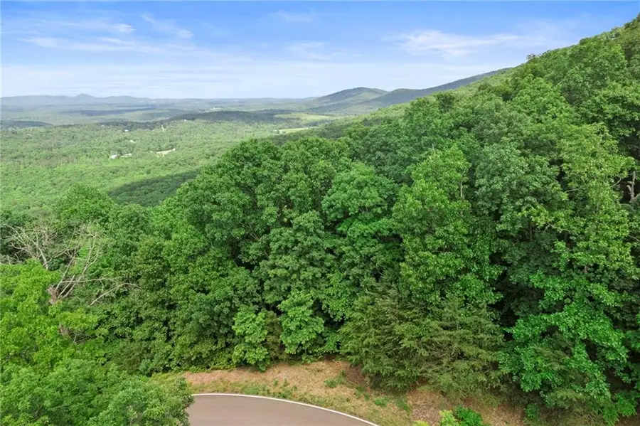 7345 Skyline Drive, Big Canoe, GA 30143 - #2