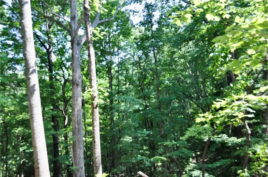 7097 Pine Knoll, Big Canoe, GA 30143 - #2