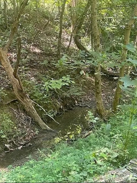 426 Sulphur Springs Road, Fairmount, GA 30139 - Image #2