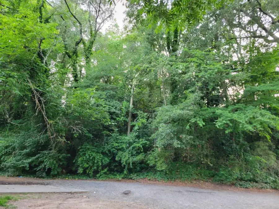 1019 Hubbard Sw, Atlanta, GA 30310 - #3