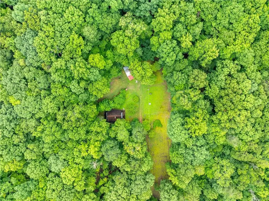 467 Gilliam Trail, Mineral Bluff, GA 30559 - #3