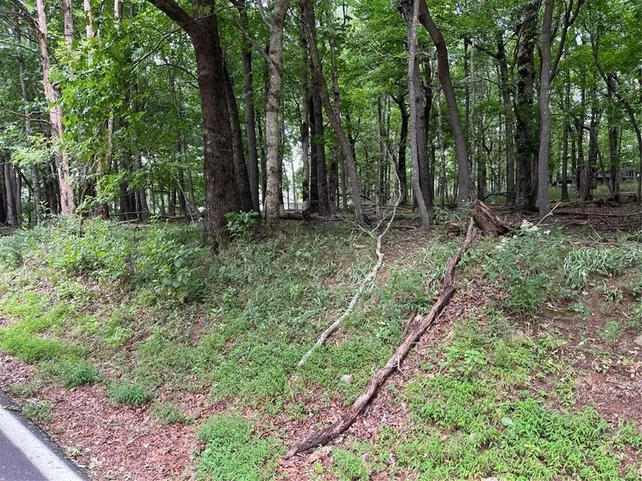 1918 Big Stump Mountain Trail, Jasper, GA 30143 - Image #2