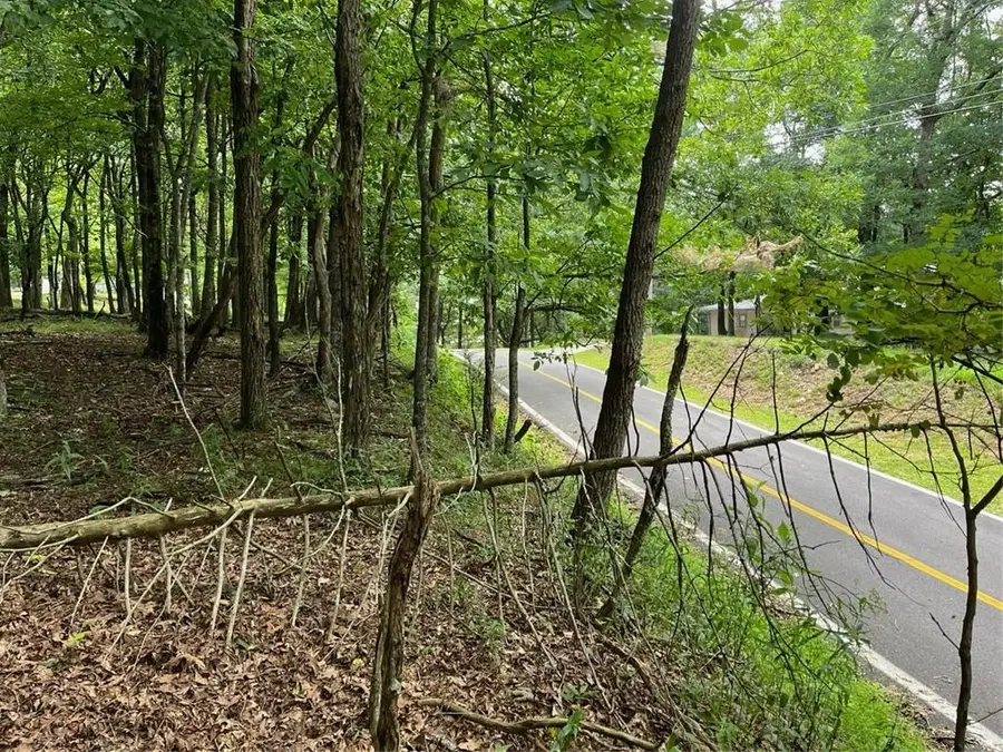 1918 Big Stump Mountain Trail, Jasper, GA 30143 - Image #3