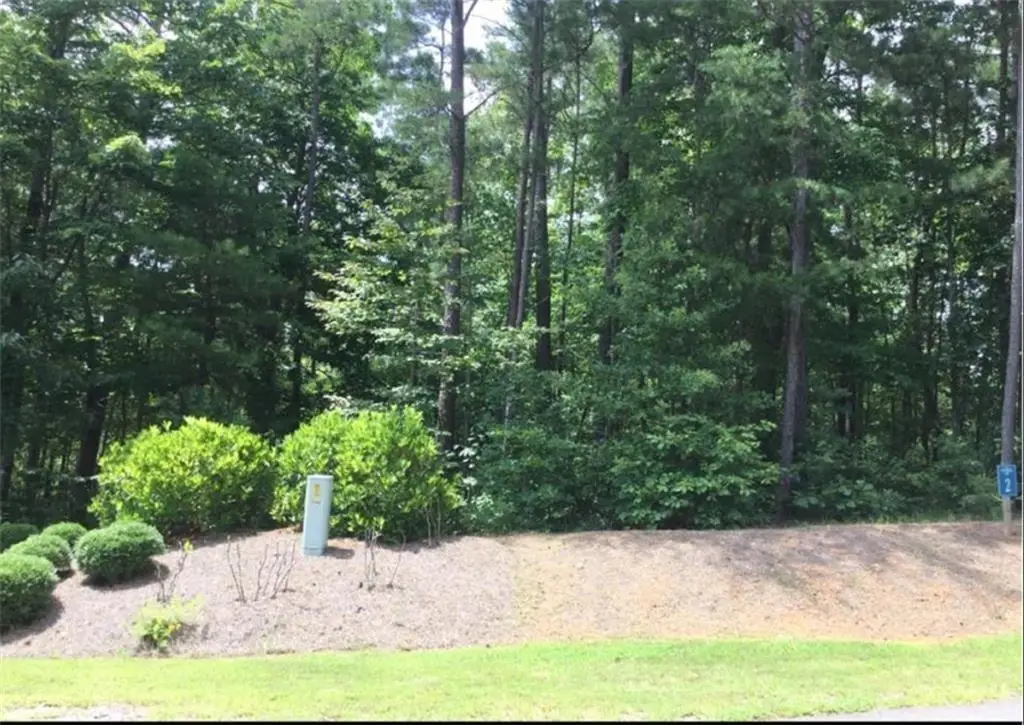 0 Harris Creek Drive, Ellijay, GA 30540 - #1