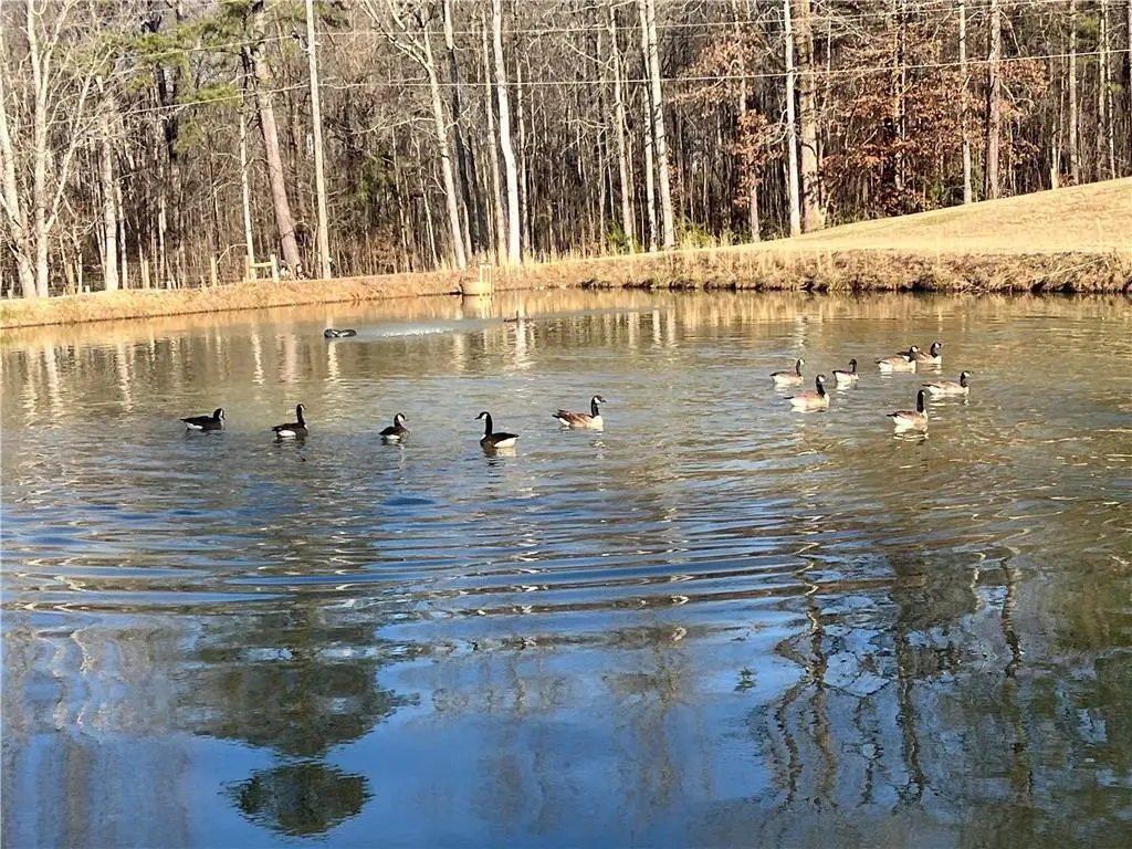 6225 Collins Road Nw, Acworth, GA 30101 - Image #1