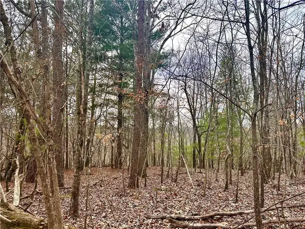 780 Nettle Lane, Ranger, GA 30734