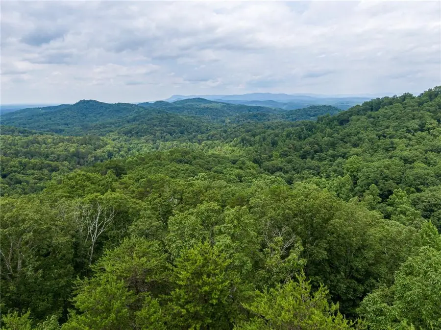 1584 Paladin Drive, Ranger, GA 30734 - Image #2