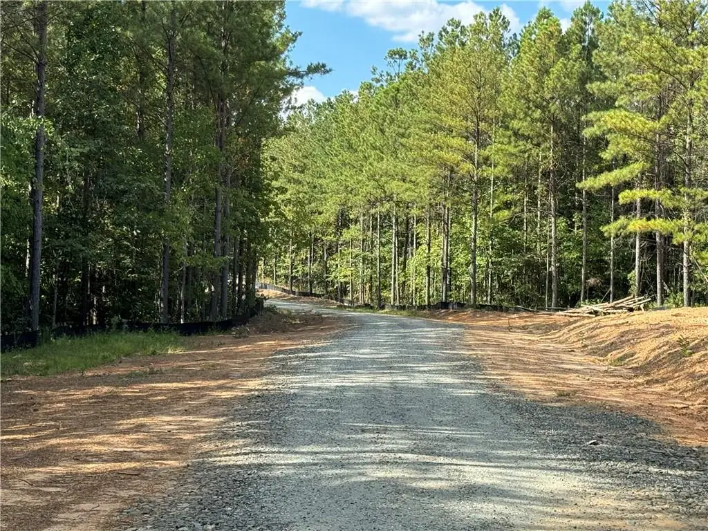 451 Lone Bear Path, Dallas, GA 30132 - Image #1