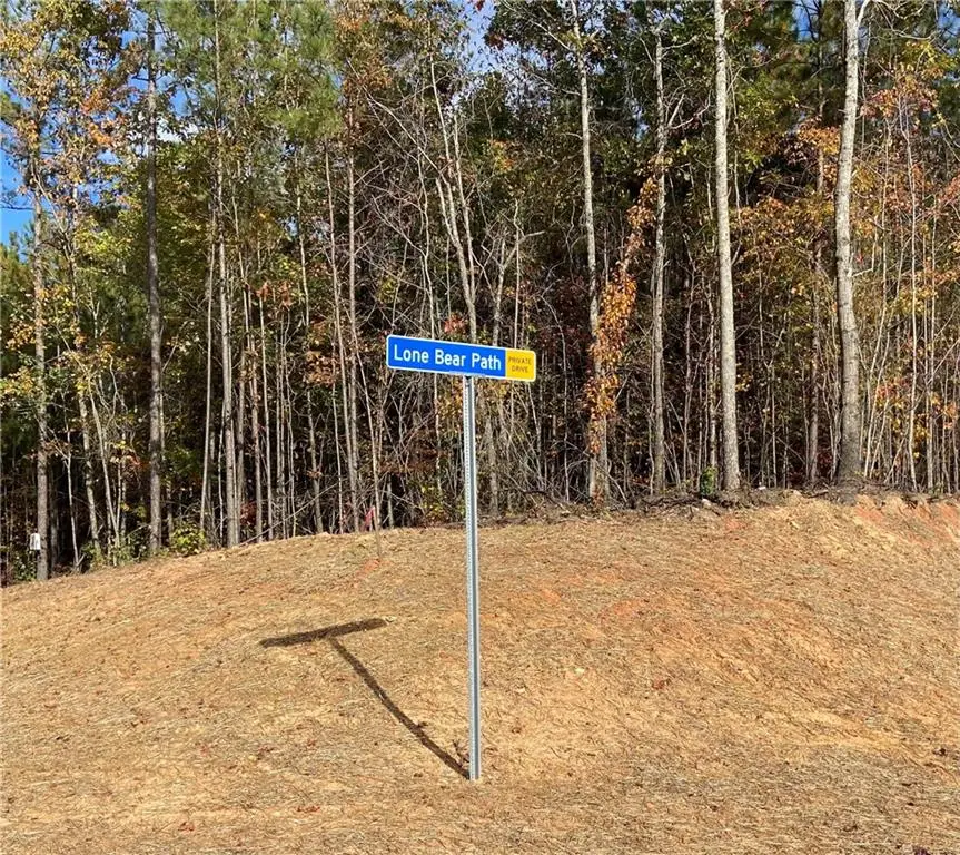 451 Lone Bear Path, Dallas, GA 30132 - Image #2