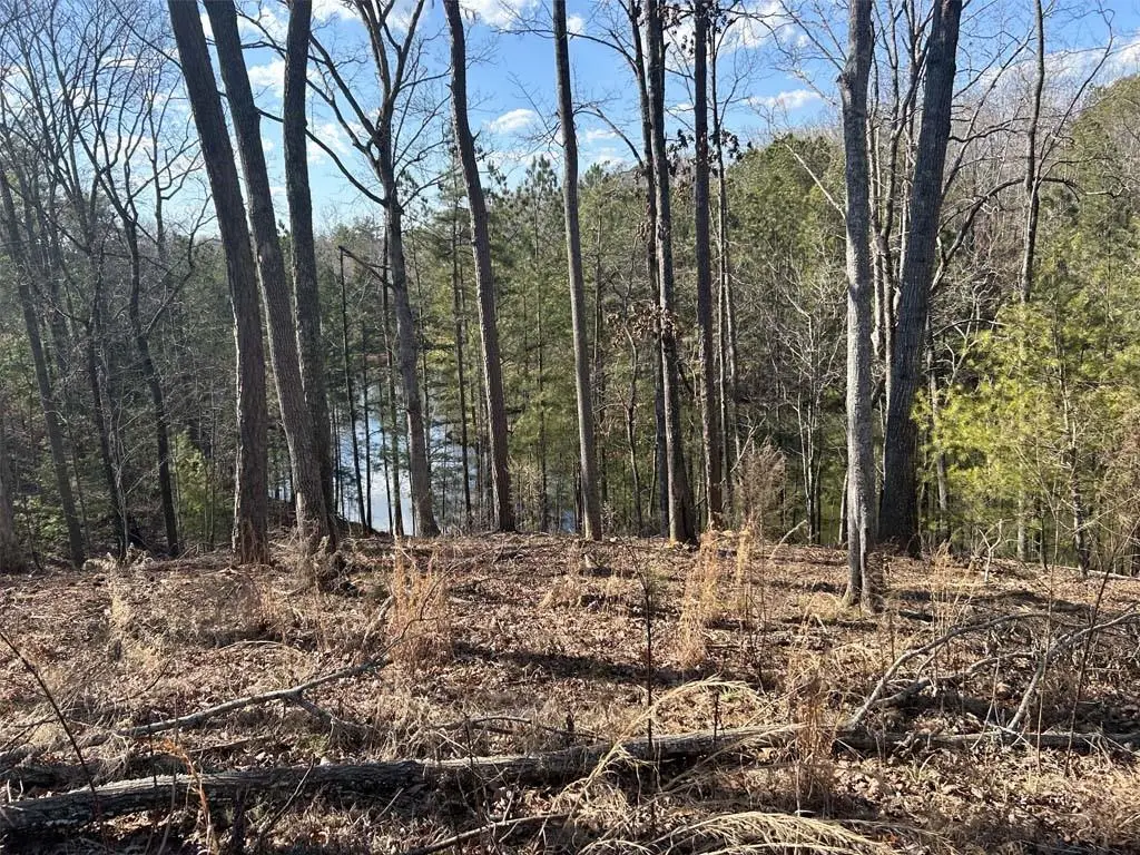 154 Lake Forest Lot 52 Drive, Ellijay, GA 30540 - #1