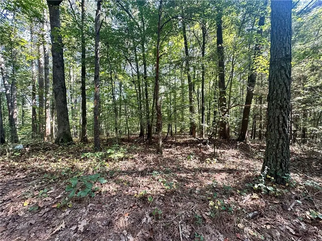 0 Frix Road, Cumming, GA 30028 - #1