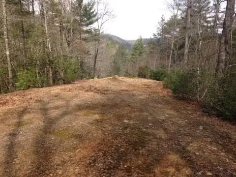 0 Wolf Howl Trail, Sautee Nacoochee, GA 30571 - Image #3