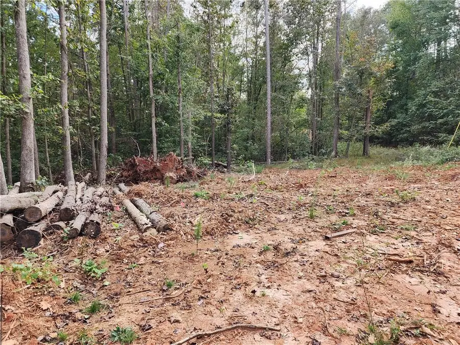 0 Morris Trail, Carnesville, GA 30521 - Image #2