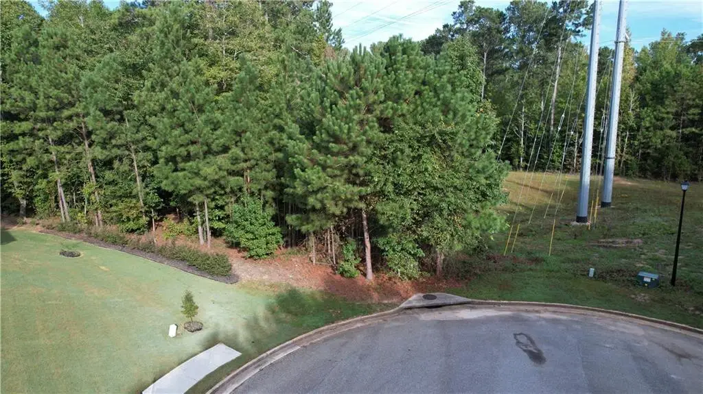 3040 Wood Valley Court, Loganville, GA 30052 - #1