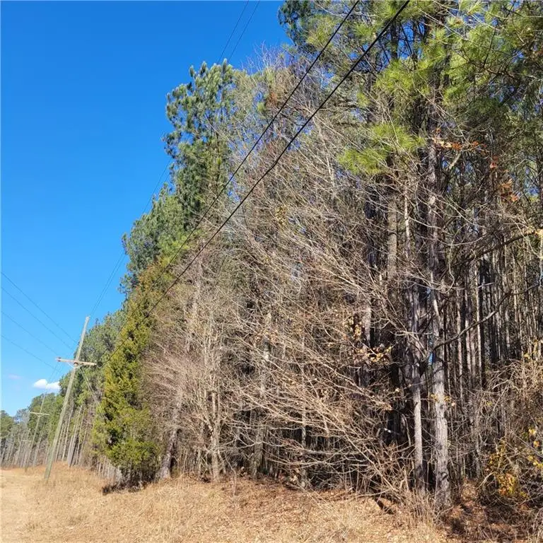 00 Bohannon Road, Grantville, GA 30220 - Image #1