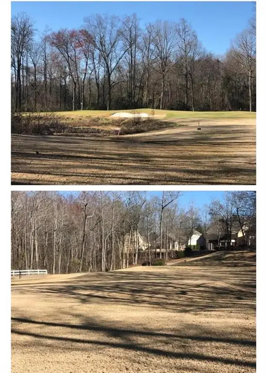 907 Ellesmere, McDonough, GA 30253 - Image #3