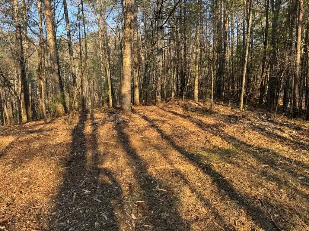 1767 Longbranch Drive, Ranger, GA 30734 - Image #1