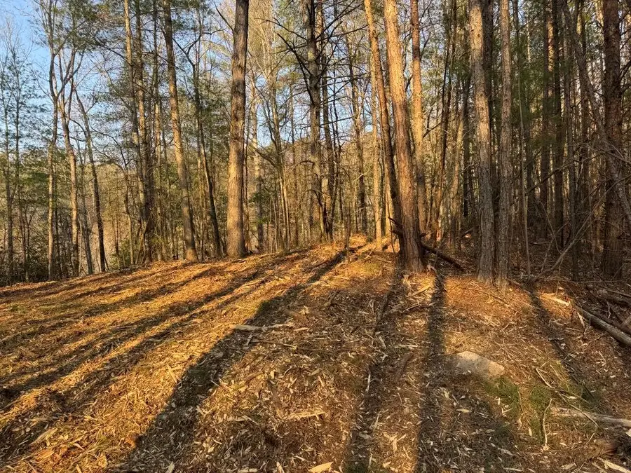 1767 Longbranch Drive, Ranger, GA 30734 - Image #2