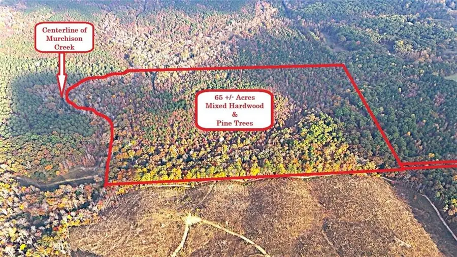 00001 Poplar Springs Road, Buchanan, GA 30113 - Image #3