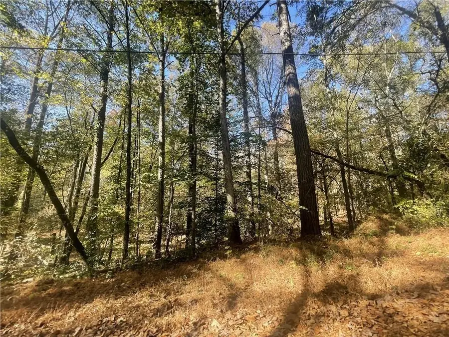 2633 Brannan Road, Snellville, GA 30039 - Image #3