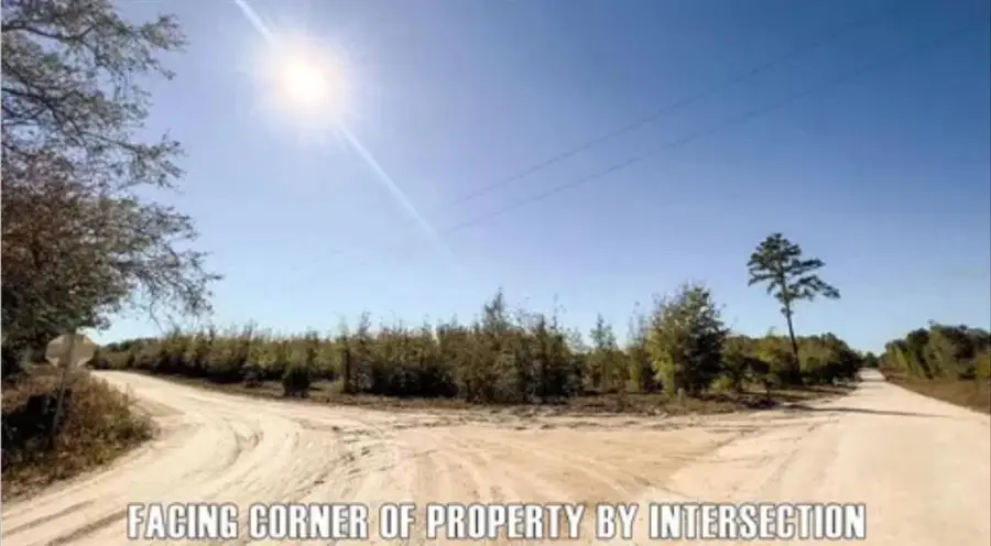 0 164th Road, McAlpin, FL 32062 - Image #2
