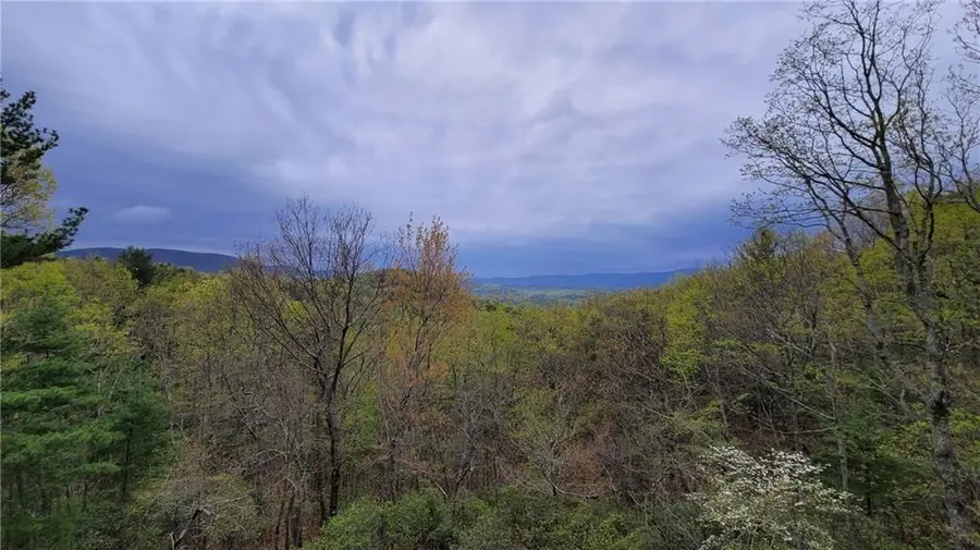 1012 Wild Turkey Bluff, Jasper, GA 30143 - #2