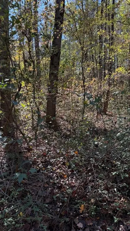 LOT 15 Fairview Springs Drive, Ellenwood, GA 30284 - Image #3