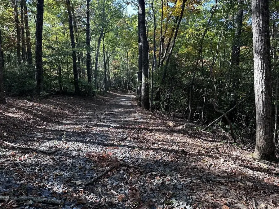 Tract3 Turniptown Road, Ellijay, GA 30536 - #2