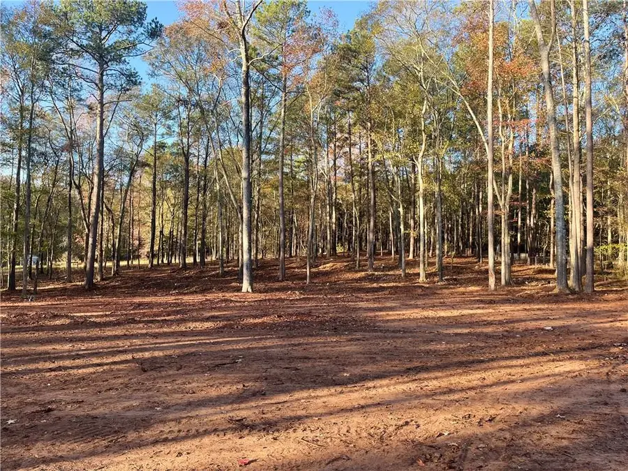 121 Sheldon Point, Griffin, GA 30224 - Image #2