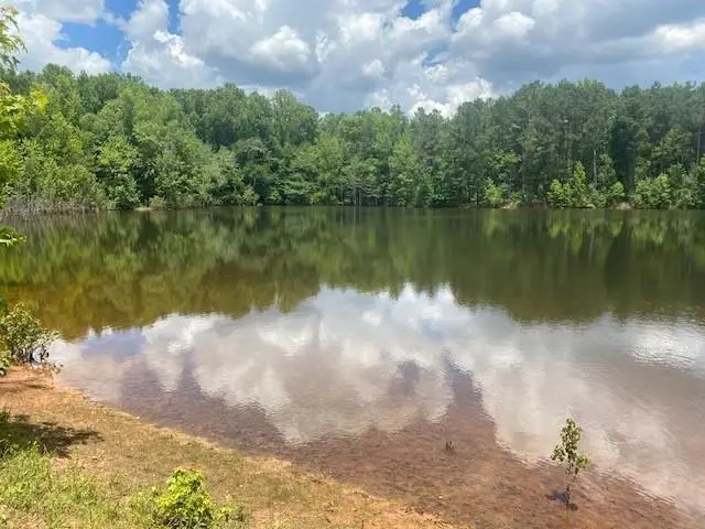 4318 Hester Town Road, Madison, GA 30650 - Image #3