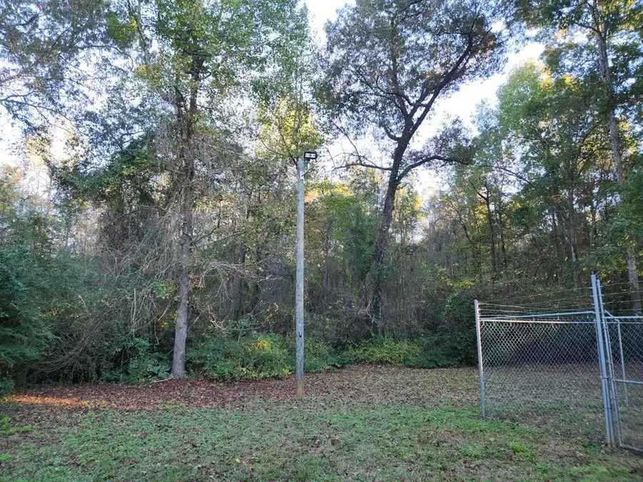 1433 Ga Highway 520, Richland, GA 31825 - Image #3