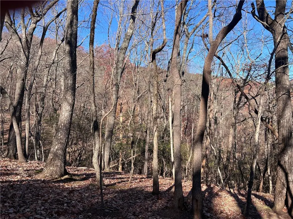 4412 Bee Tree Ridge Drive, Jasper, GA 30143 - Image #1