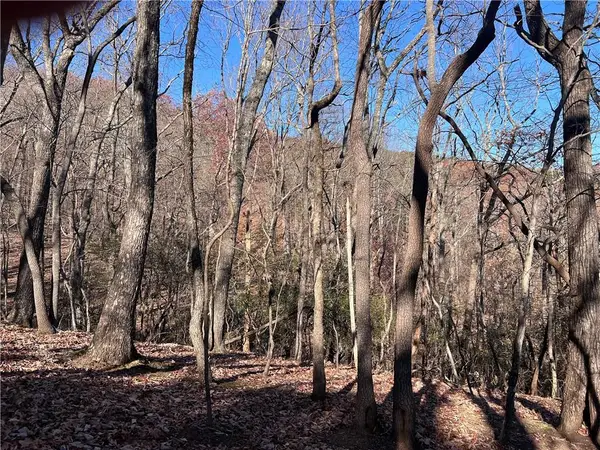 4412 Bee Tree Ridge Drive, Jasper, GA 30143