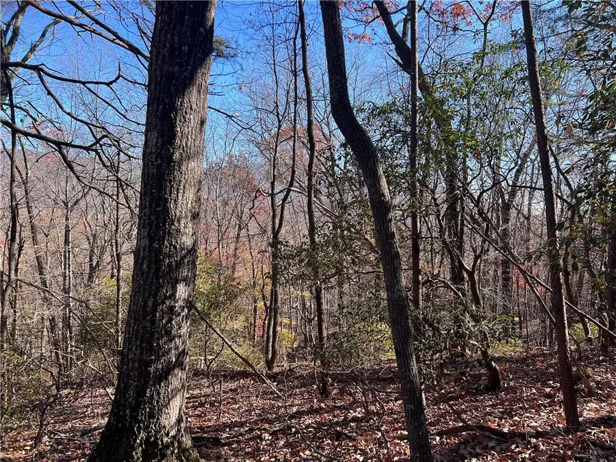 4412 Bee Tree Ridge Drive, Jasper, GA 30143 - Image #3