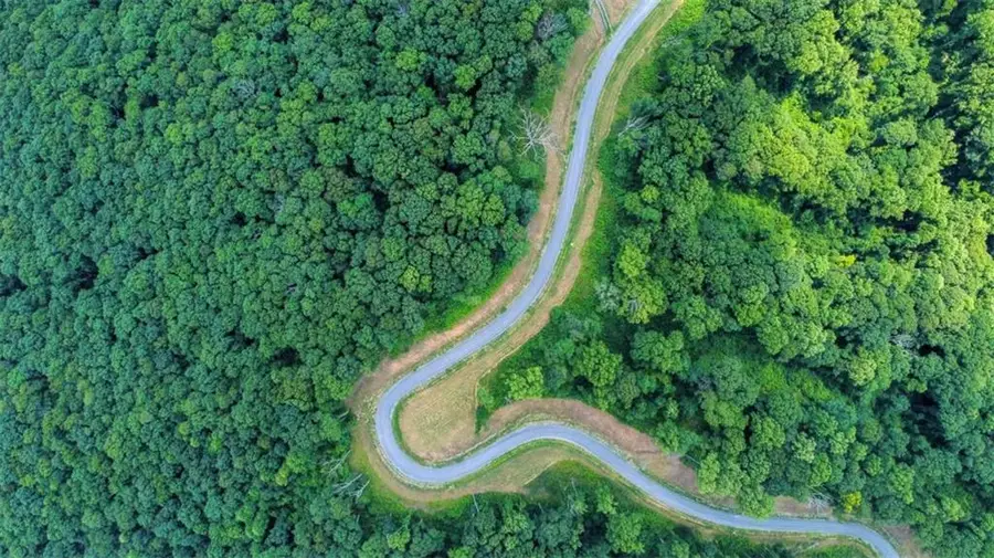 LOT 56 High Summit Drive, Talking Rock, GA 30175 - Image #3