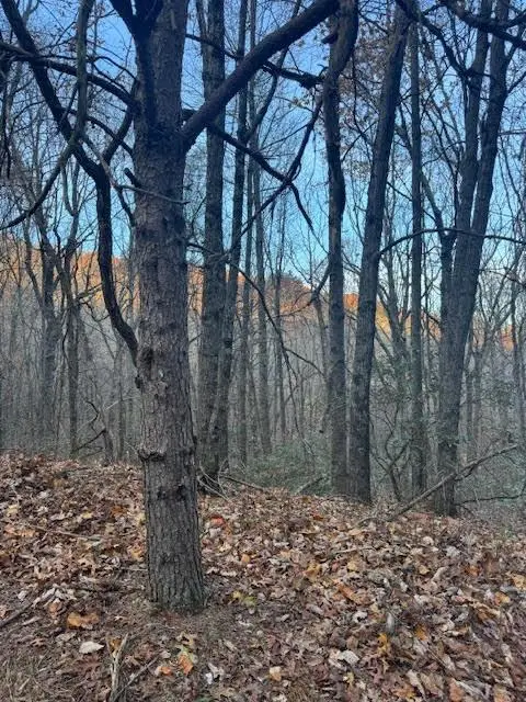 19N Fox Run Lane, Jasper, GA 30143