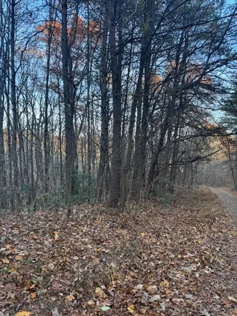 19N Fox Run Lane, Jasper, GA 30143 - Image #2