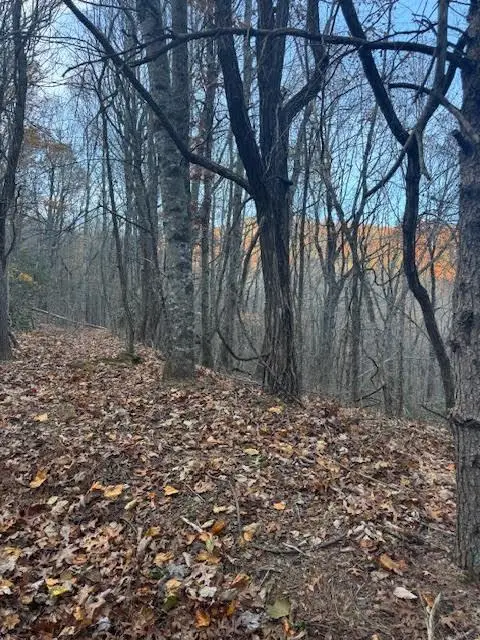 19N Fox Run Lane, Jasper, GA 30143 - Image #3