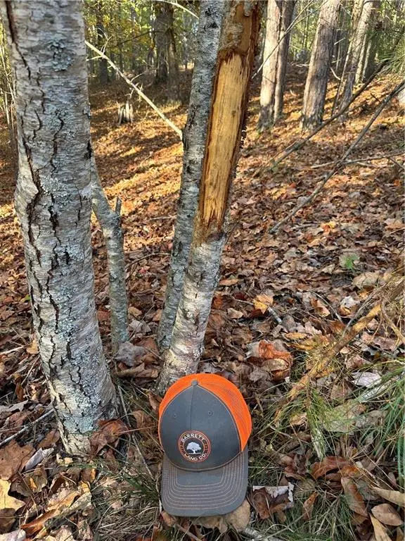 1806 Browning Road, Rockmart, GA 30153 - Image #1