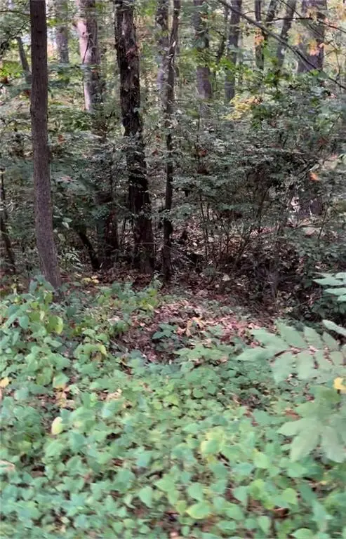 2531 Mohawk Trail, Acworth, GA 30102 - #2