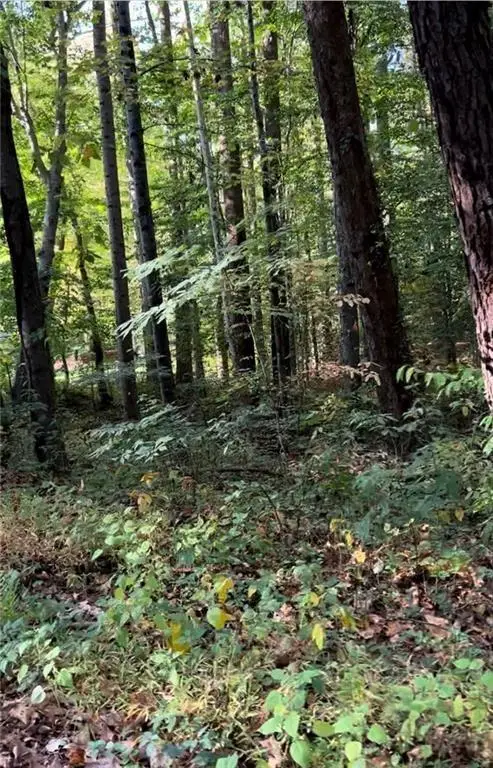 2531 Mohawk Trail, Acworth, GA 30102 - #3