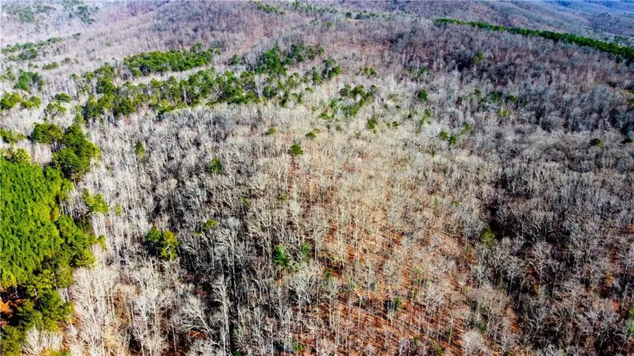 0 Sparks Way, Talking Rock, GA 30175 - Image #3