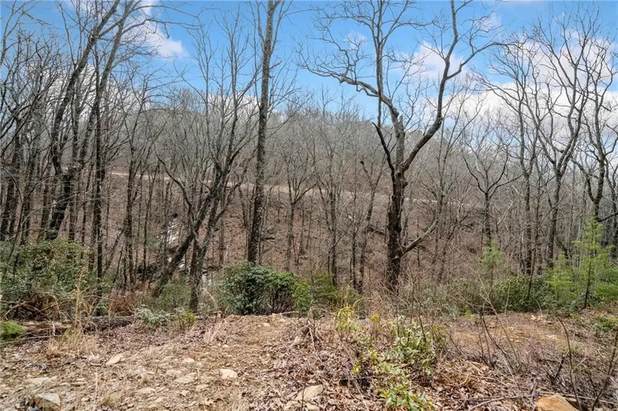 0 Big Oak Drive, Jasper, GA 30143 - #3