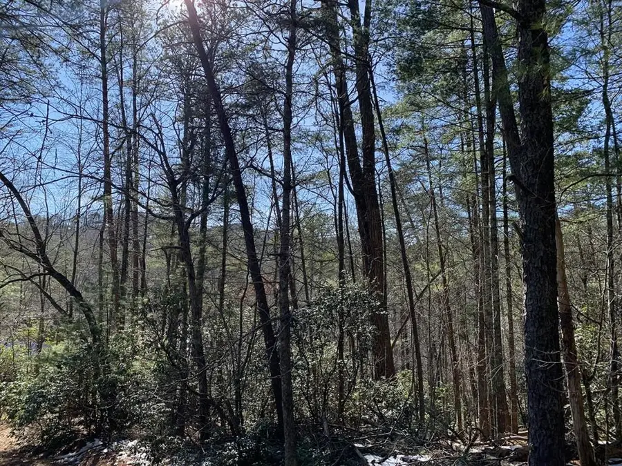 0 Pinecrest Road, Sautee Nacoochee, GA 30571 - #2