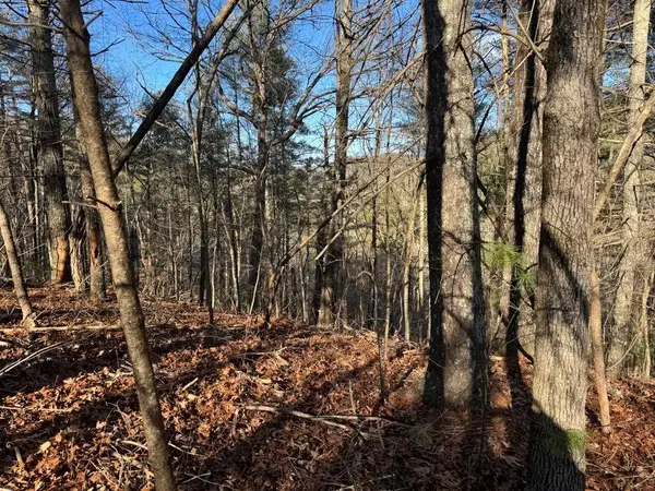 1551 Dorian Court, Ranger, GA 30734