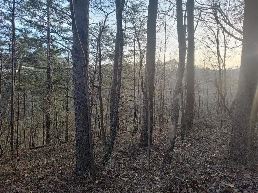 1058 Mayfield Lane, Ranger, GA 30734 - Image #2